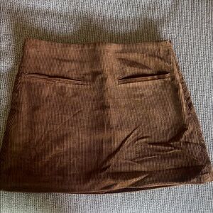 Zara Rich Brown Corduroy Skirt